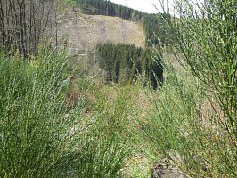 baladepique-nique2017dbut49