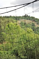 20476060_796133903893811_1259780656149302024_n