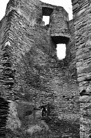 20525620_796122753894926_6515774079387609016_n