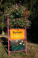 fleursjuillet2018000