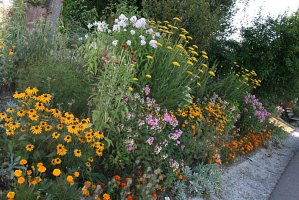 fleursjuillet2018028