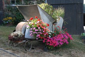 fleursjuillet2018030