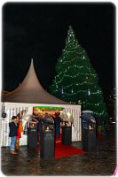 48406750_2233980670223639_8537910258733940736_o