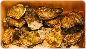 49108970_2233979283557111_2596191177904488448_o