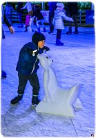 48419893_2235095080112198_6393151969346715648_o