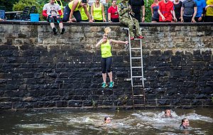 19601470_1916306621991047_8787427163720618074_n