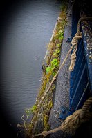 19657257_1916290251992684_2218147362031796205_n