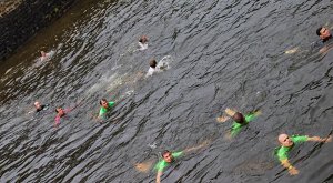 19731924_1916306618657714_4266346592132195332_n